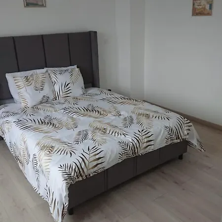 Centre Proche Vieille Et Remparts-appartement 50m2 Lägenhet