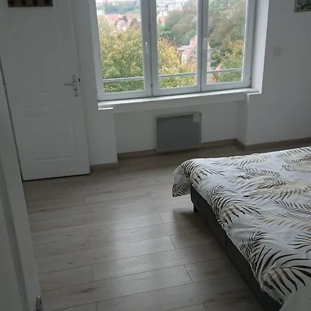 Appartement Centre Proche Vieille Et Remparts-appartement 50m2