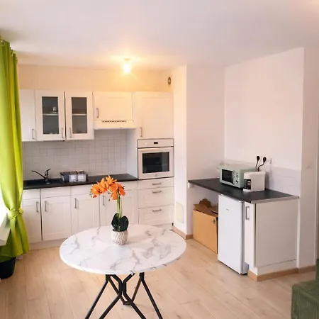 Centre Proche Vieille Et Remparts-appartement 50m2 Appartamento