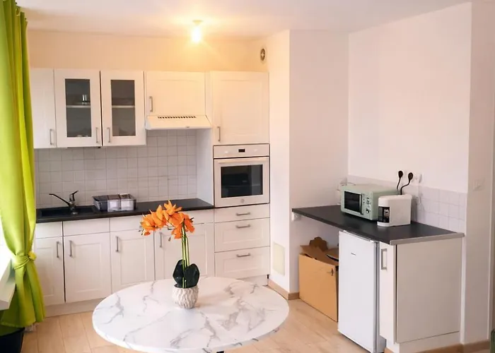 Centre Proche Vieille Et Remparts-appartement 50m2 Appartamento